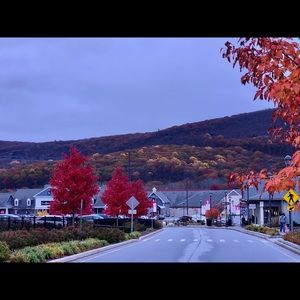 Meet your Posher, Ana